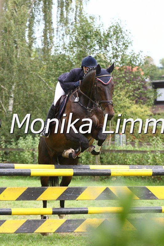 109M0165_Nebulo_Stil L.JPG